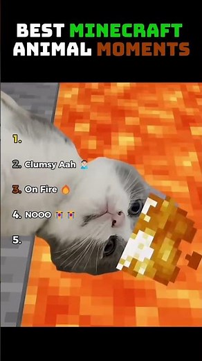 BEST MINECRAFT ANIMAL MOMENTS 😹⛏️