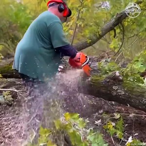 It's Easier to CLEAR a Log Jam Than an Ice Jam | Hometownacres