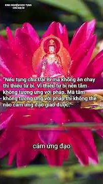 Những Điều Cần Kiêng Kỵ Giữ Gìn Khi Tụng Chú Đại Bi