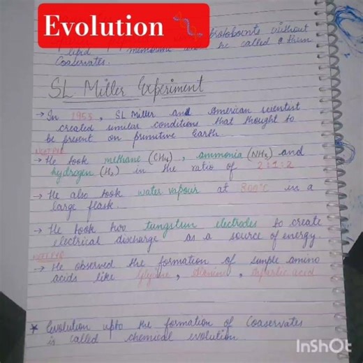 SL Miller Experiment (Urey–Miller Experiment) | Class 12 Evolution | NEET & Boards Handwritten Notes
