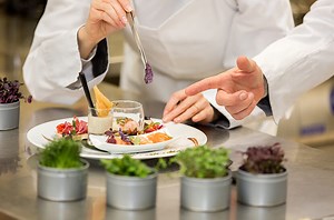 Licenciaturas en Hospitalidad, Turismo y Gastronomía | UVM