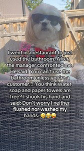 166K views · 1.2K reactions | I went in a restaurant 藍 #comedy #humor #funny #laugh #funnyvideos #memes #fyp | Hunter the Bounter | Facebook