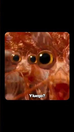 Happy Feet 2 (2011)🎬