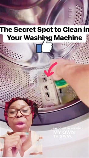 71K views · 255 reactions | The Secret Spot to Clean in Your Washing Machine #CleaningTips #WashingMachineMaintenance #HomeHacks#HousekeepingTips | Happy life img | Facebook