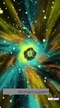 The Black Hole That Woke Up After Decades of Silence