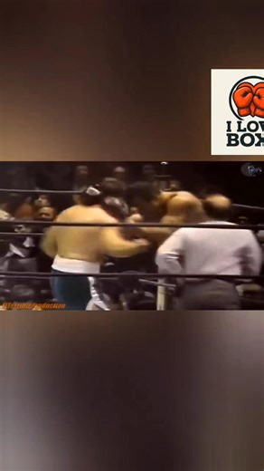 Ken Norton vs. Jerry Quarry "March 24, 1975, at Madison Square Garden in New York City." | I love BOXE