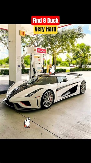 Only 1% can find all the ducks #automobile #duck