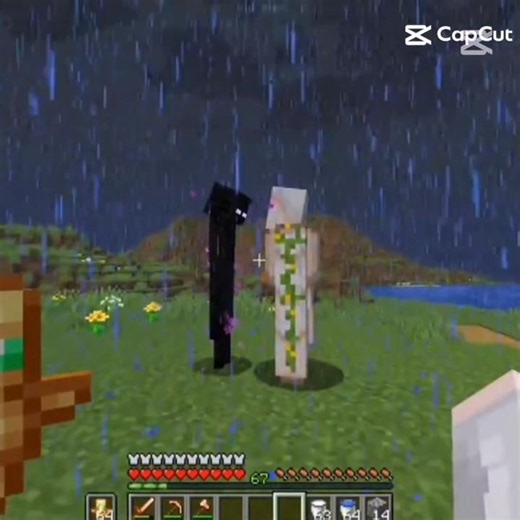 just a normal Minecraft edit 🙂✨