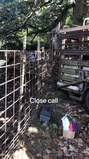 #farm #farmers #lifeonthefarm #ranchers #cows