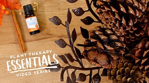 If you love that warm and cozy Fall feeling at home, you’re going to definitely want to try this super easy DIY! 🍊Spiced Orange Fall Blend: http://bit.ly/2QaPkNm More Essentails DIY Videos: http://bit.ly/2QePFPf | Plant Therapy