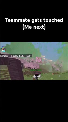 Teammate gets touched(acid rain does a thing) #minecraft #moddedminecraft #disaster