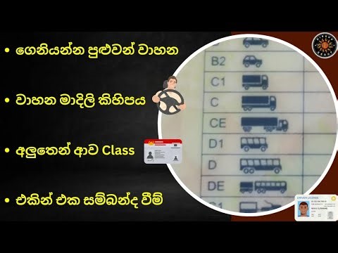 Driving License Vehicle Class Sinhala | Vehicle Categories, Licence Details Sinhala, වාහන මාදිලි