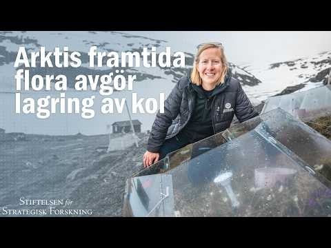 De undersöker klimatpåverkan på Arktis viktiga kollagring