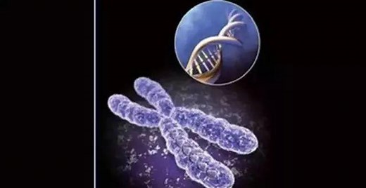 Science发布“全世界最前沿的125个科学问题”_腾讯新闻