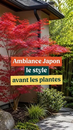 Pas besoin de plantes japonaises pour créer un jardin japonais ?