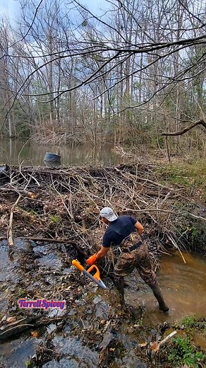 Team Terrell = Tannerite!💥💪 😅 || Beaver Dam Removal! #beaverdam #beaverdamcreek #beavers #dam #draining #water #terrellspivey #fypシ゚ #foryoupageシ #foryou #viralvideo #viralFBvideo #FBVIDEO #fb #viralfb #viralreelsシ #fbreels | Terrell Spivey