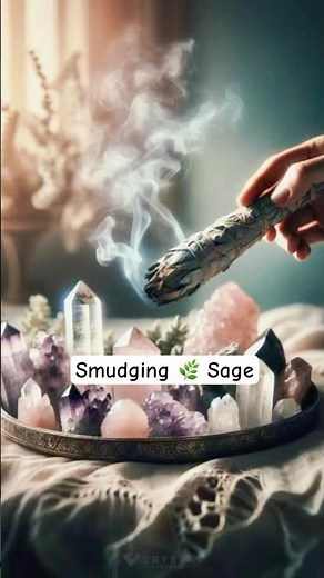 Smudging: 🌿 Sage’s Effect on Bacteria 🦠 #smudging #sage #antibacterial