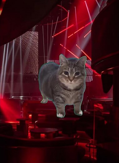 Rat Dance SONG And oiioa cat