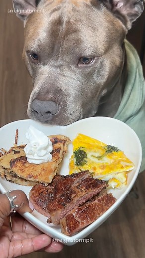 1.2M views · 38K reactions | 識Dog Morning Routine With Bath, Deshedding , Moisturizing & Cooking Breakfast ! 數丹 #dogsofinstagram #pitbull #pitbullsofinstagram #bluenose #doggrooming #dogbath #bath #asmr #asmrsounds #satisfying #relaxing #viralreels #viral #explore #explorepage #cooking #morningroutine | reignstormpit | Facebook