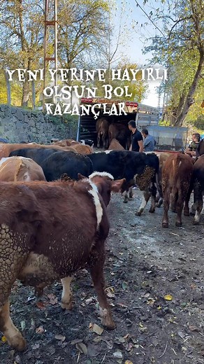 Uğur Dolak on Reels