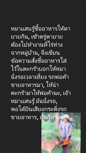 Feeding Your Dog in Nature: A Heartwarming Moment