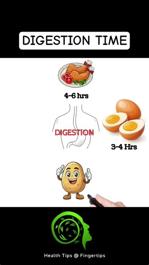 How Much Time Does It Take To DIGEST Different Foods? | Digestion Time Explained #healthyeating