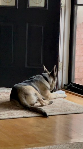 The "Fun" Hack That Works! Sometimes the thing you want most isn’t on a distant horizon… It’s right here, waiting for you to relax into it. One good laugh. One guilty pleasure. One day of not taking life so seriously. Fun opens the flow for manifesting magic! #manifestingforwomen #positiveenergy #loa #mindsetmatters #selfgrowthjourney #consciouscreation #allowing #easeandflow | Good Vibe University