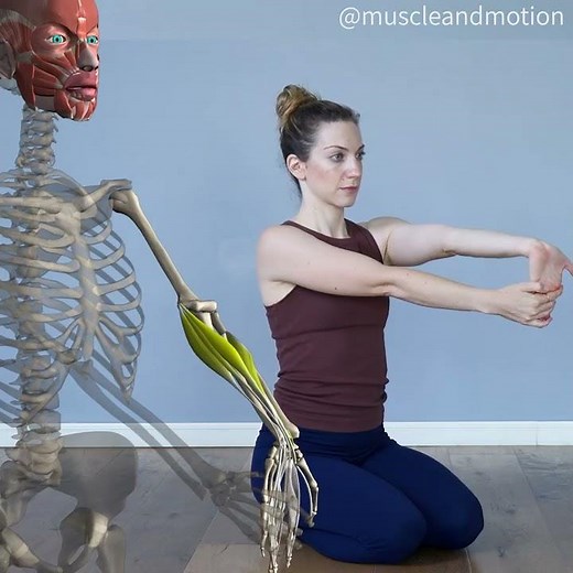 WRIST FLEXOR STRETCH