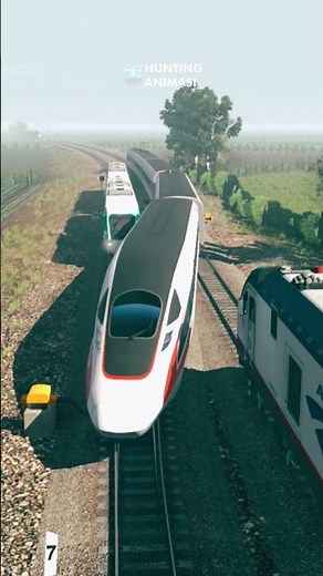 Insane High Speed Trains Switching Tracks in Heavy Rain! 🚄☔#train #railway #railroad