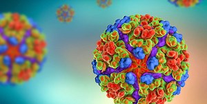 September » 2023 »  Emerging Pathogens Institute » University of Florida