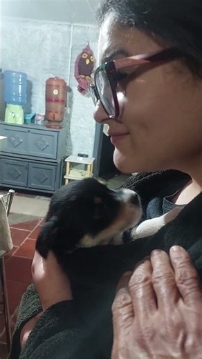 está triste, adote um anjinho, aqui ainda tenho 4 para achar sua família 🙏🙌