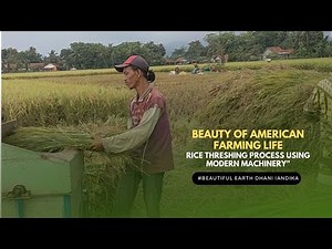 Threshing Process Using Modern Machinery