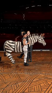 Es ist internationaler Zebra-Tag! 🦓 Hier seht ihr, wie unser Zebrakostüm Abend für Abend zum Leben erweckt wird 🤩 Immer wieder schön! #DerKönigDerLöwen #Zebra #Cast #Hamburg | Der König der Löwen - Das Musical