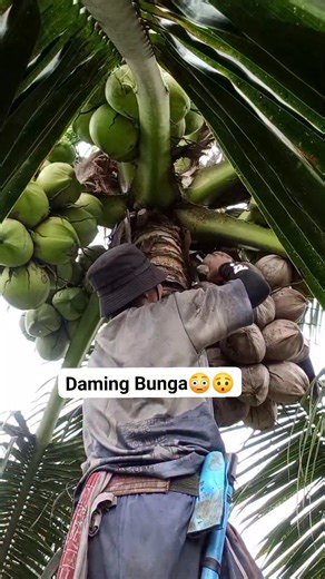 Kayod lang kanunay para mabuhi bugnot maayo 💪 #trabaho #sakalubi #Manakaay #bonereyyusorez #friendsfollowersviewersnonfollowers | Bonerey Yusorez