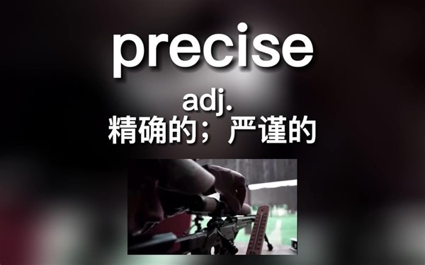 precise：adj.精确的；严谨的 [prɪˈsaɪs]