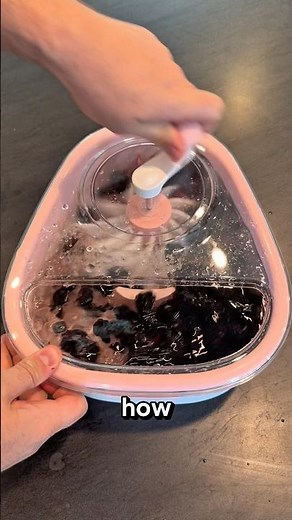 Fruit Washing Machine #amazonfinds