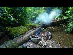 Time Lapse: Solo Bushcraft journey and build a shelter under a fallen tree in 30 days