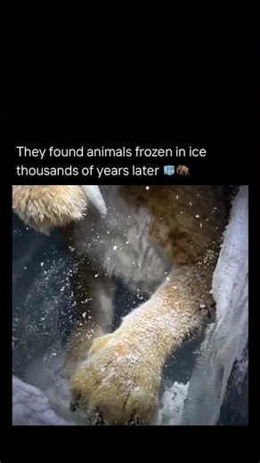 This Al-generated video by 3D artist Itay Shay reimagines the Ice Age characters-Manny, Sid, Diego.