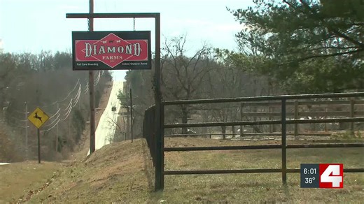 Franklin County residents protest proposed data center near Gray Summit