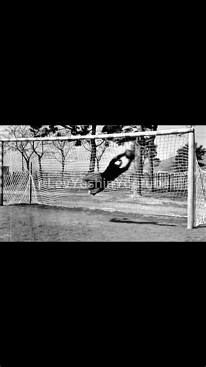 Alexei Khomich prime😱#yashin#khomich#levyashin#goalkeeper#ballondor#football#fyp#foryou#viral