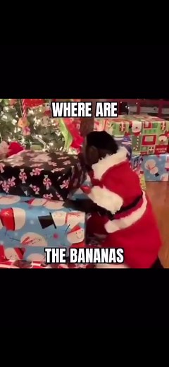 the_real_monke100 (@the_real_monke100)’s videos with original sound - the_real_monke100