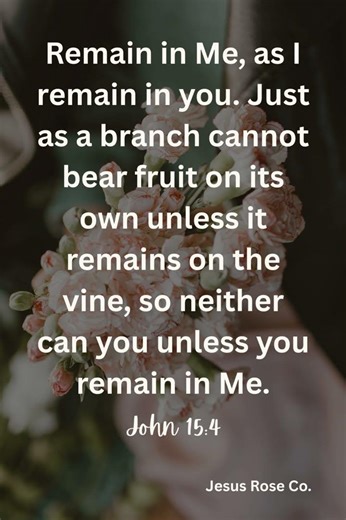 Catholic Bible Study | John 15:4 | Jesus Rose Co. ✝️