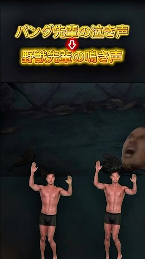 パンダの泣き声？否、野獣の鳴き声だ！ #編集 #自作編集 #呪術廻戦 #パンダ #先輩 #野獣 #野獣先輩 #野獣先輩ダンス