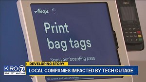 VIDEO: Local companies impacted by tech outage