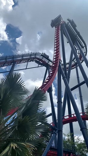 #sheikra #buschgardens #tampa #florida #orlando #divecoaster #bolligerandmabillard #rollercoasters #tiktok #viral #vacation #fun #thrill #themepark