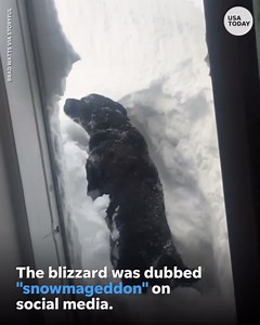 Blizzard covers Canada with several feet of snow