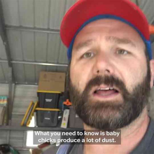 Prepping For New Baby Chicks