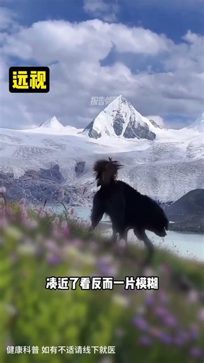 12種不同眼疾看到的世界 #科普 #近視 #眼睛 #漲知識 #視力