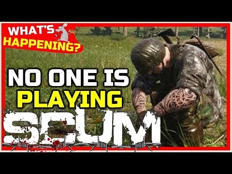 Why Is No-One Playing Scum? Bugs? Updates? Gameplay? What's Happening