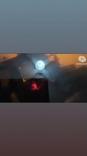 Finding Dory Squid Red in Reversed